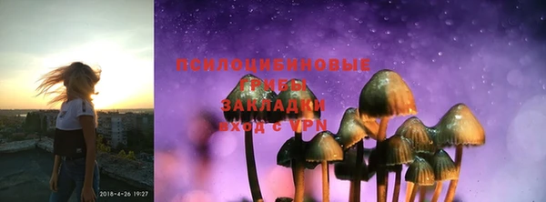 гашик Баксан