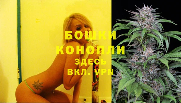 PSILOCYBIN Балабаново