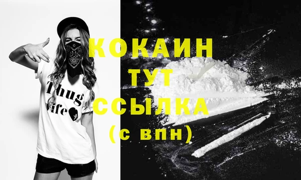 шишки Балахна