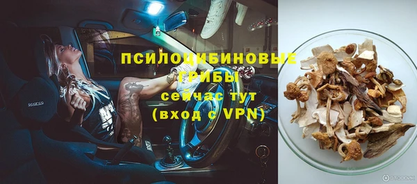 шишки Балахна