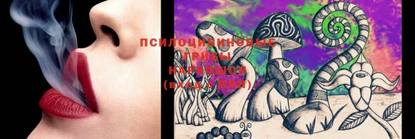 твердый Новозыбков