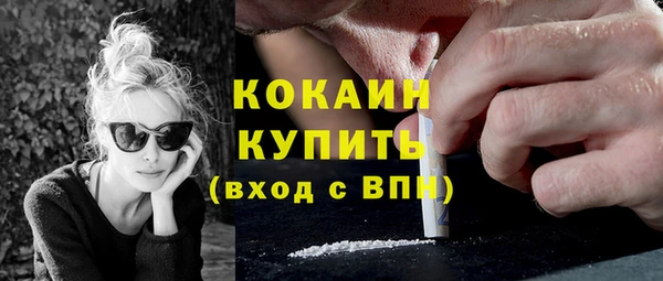 шишки Балахна