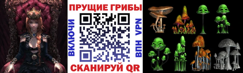 МЕГА tor  Петров Вал  Псилоцибиновые грибы мицелий  закладки 